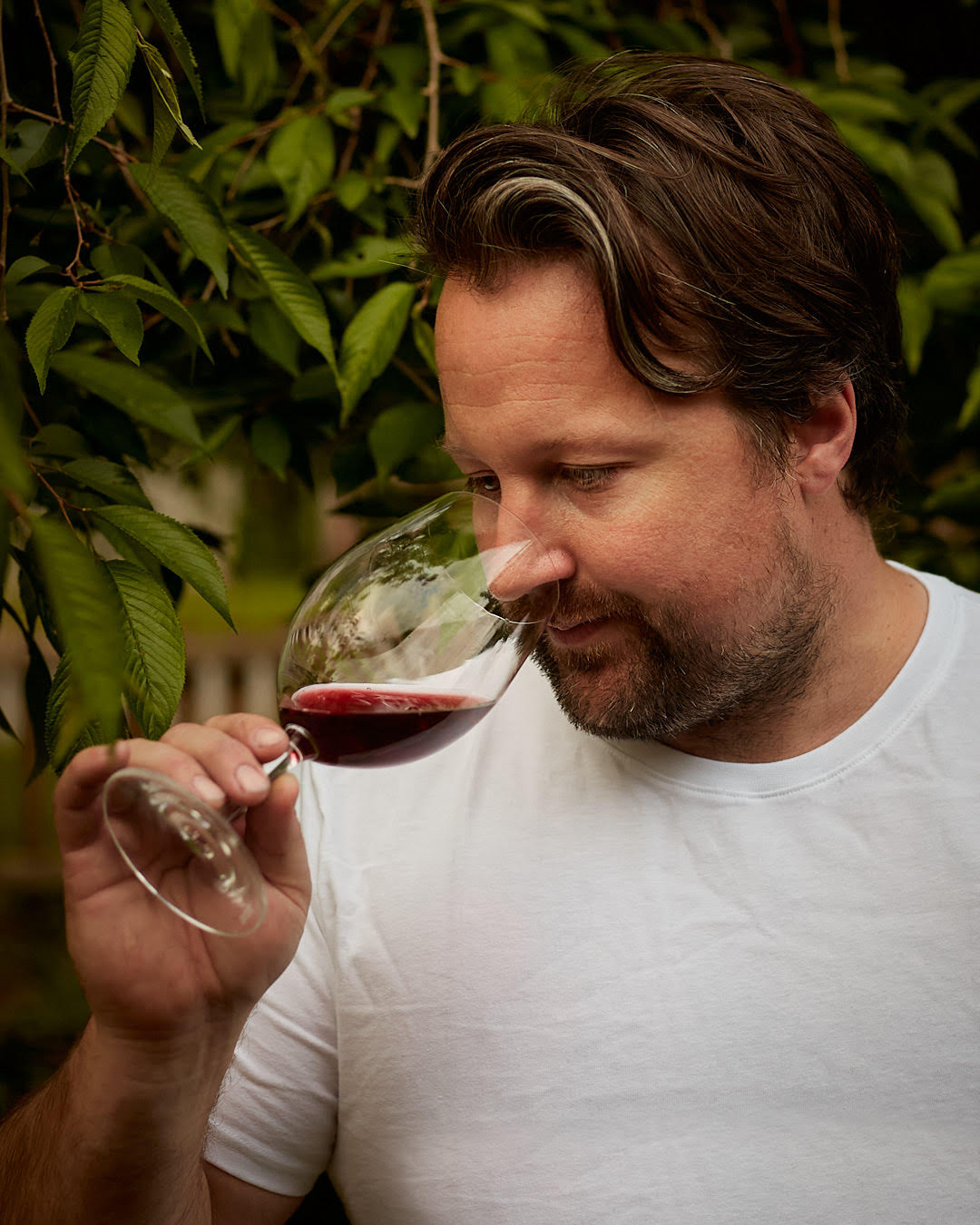https://www.vinocorpperu.com/images/bodegas/puntroad/Jarrod Johnson-min.jpg